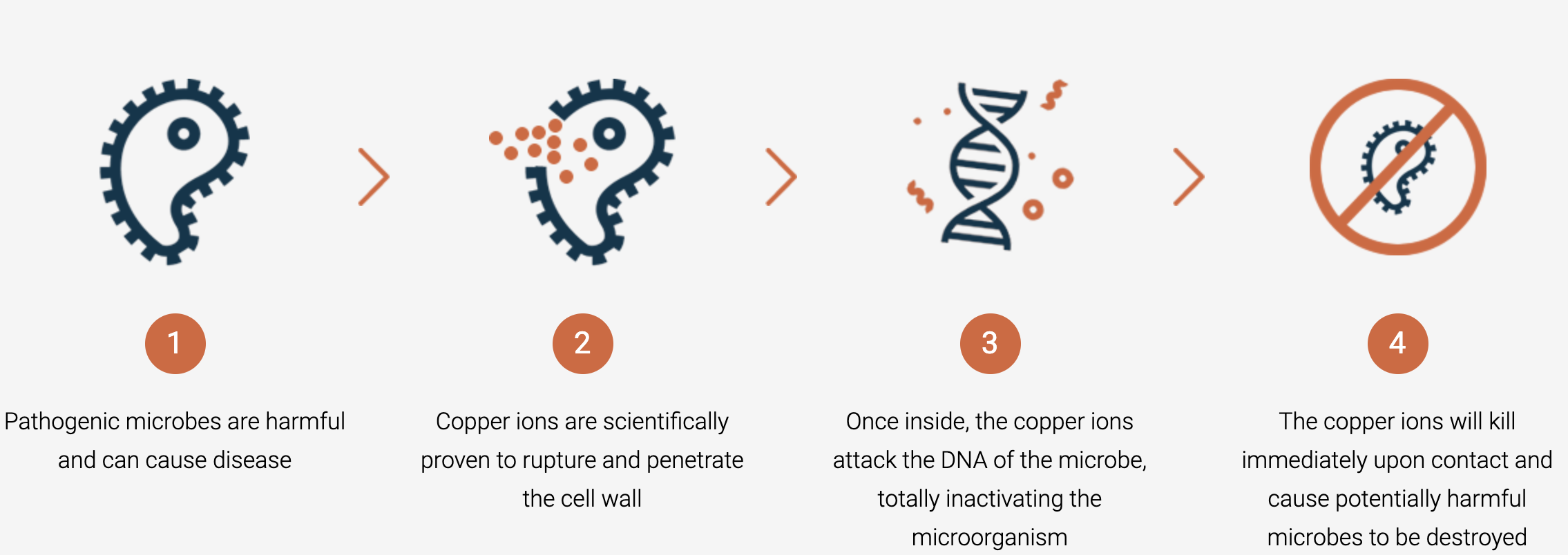 Diagram showing the process of copper ions killing pathogenic microbes